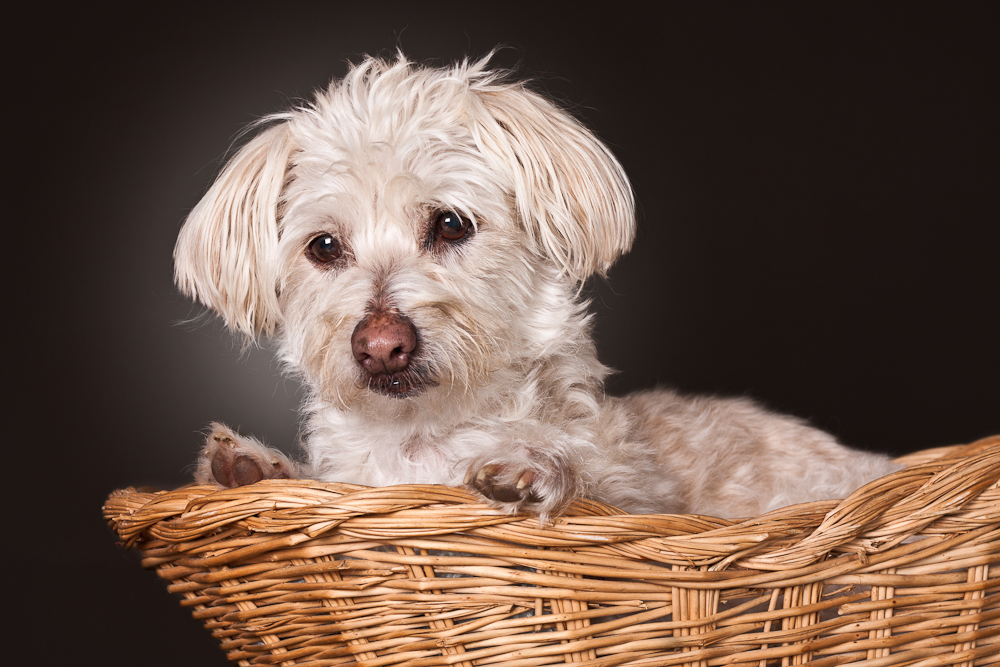 20141011-20141011-IMG_7316i-2