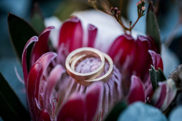 Wedding Shooting 17.02.2019-345